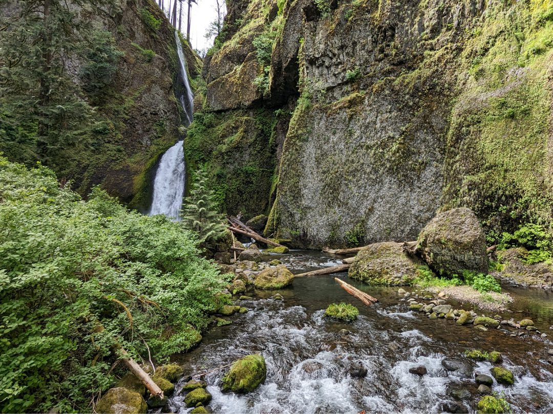 View of Wahclella Falls from the lower trail