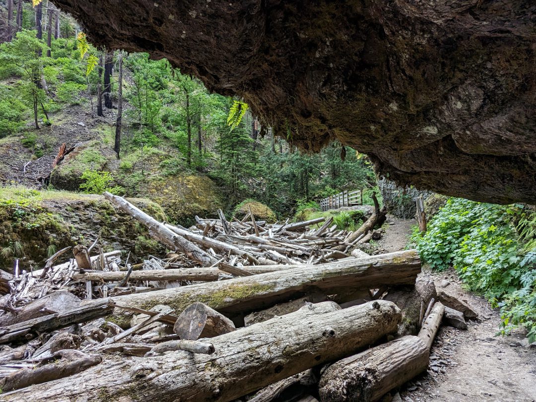 Under the ledge of a tunnel-like cave looking out