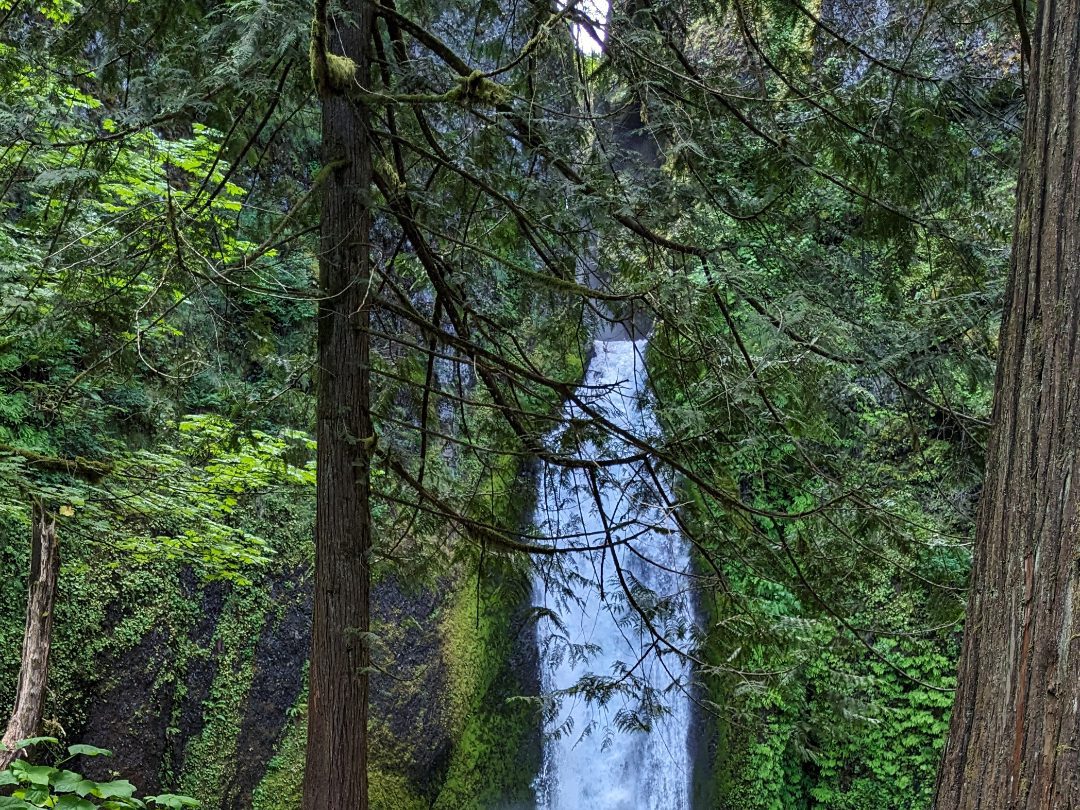 The Wahclella Waterfall as seen through the trees.