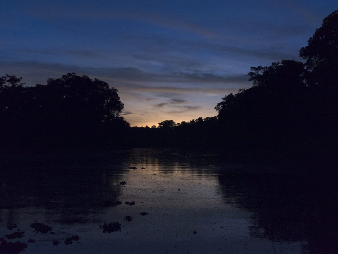 Midnight blue and peach colors of sunset at the Laguna Limoncocha reflected in the lake