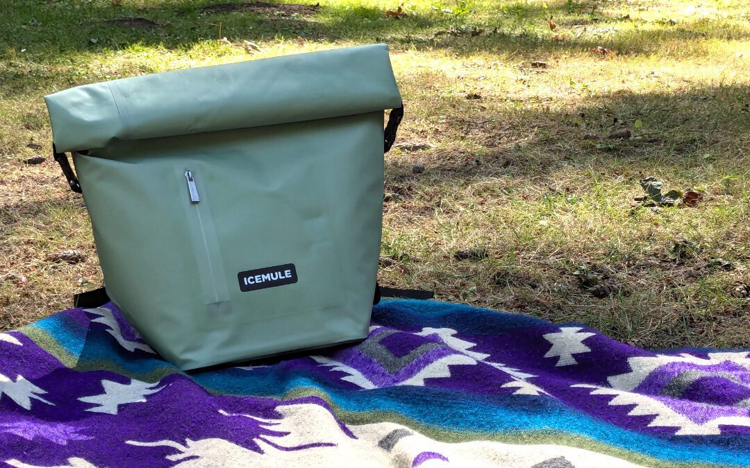 Do you really need ICEMULE’s Ultra-Portable Backpack Cooler?