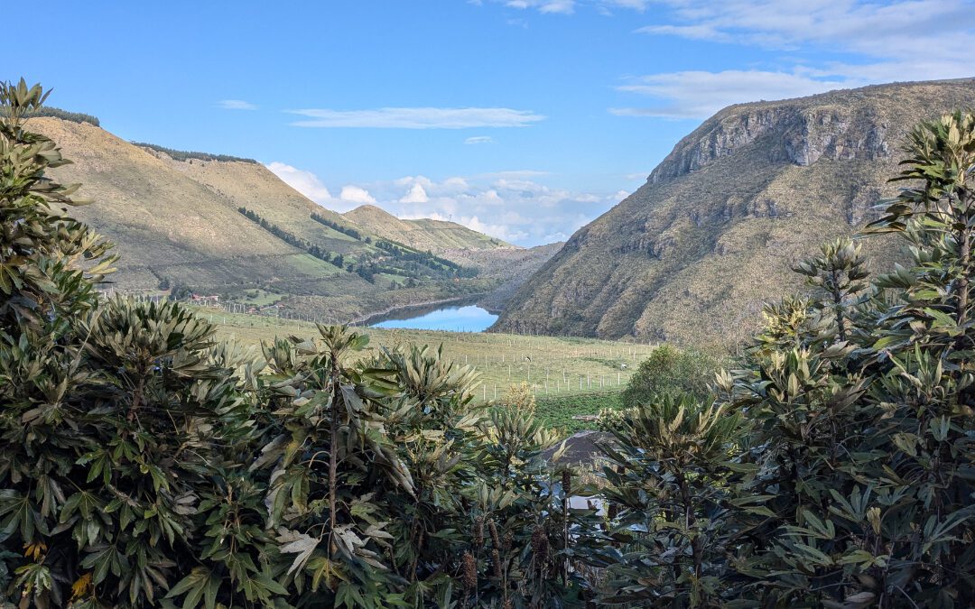 Protecting the Guardians of the Andes: Support Tambo Condor’s Interpretive Center