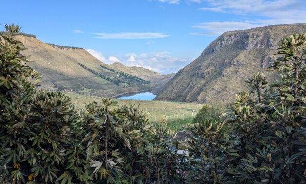 Protecting the Guardians of the Andes: Support Tambo Condor’s Interpretive Center