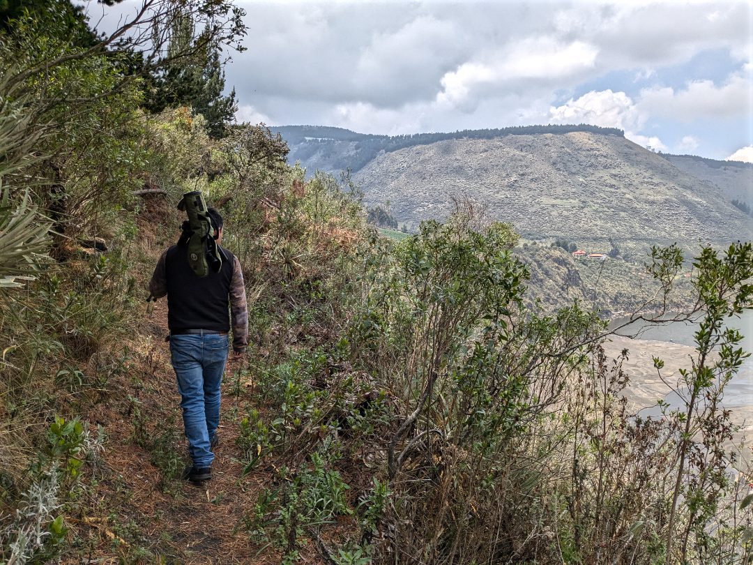 A man with spotting scope over his shoulder hikes in scrub habitat of the high Andes at Tambo Condor