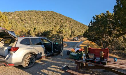 Our Favorite Car Camping Gear