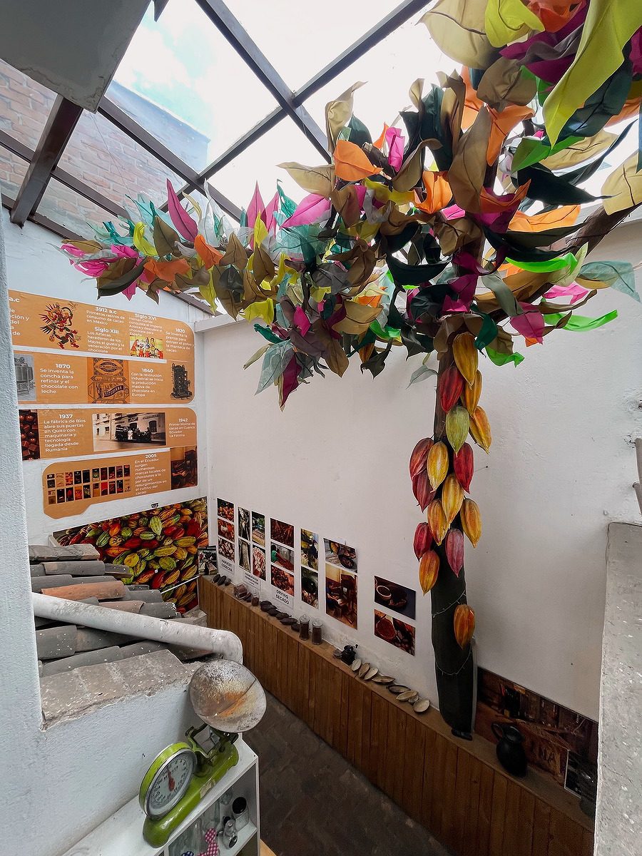 A museum exhibit includes a colorful cacao tree created from paper