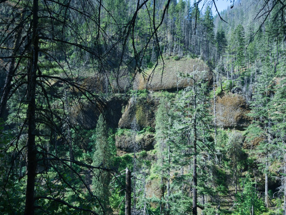 Basalt rock formation along Eagle Creek Trail