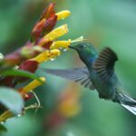9 Ways Rio Quijos EcoLodge Connects You With Nature