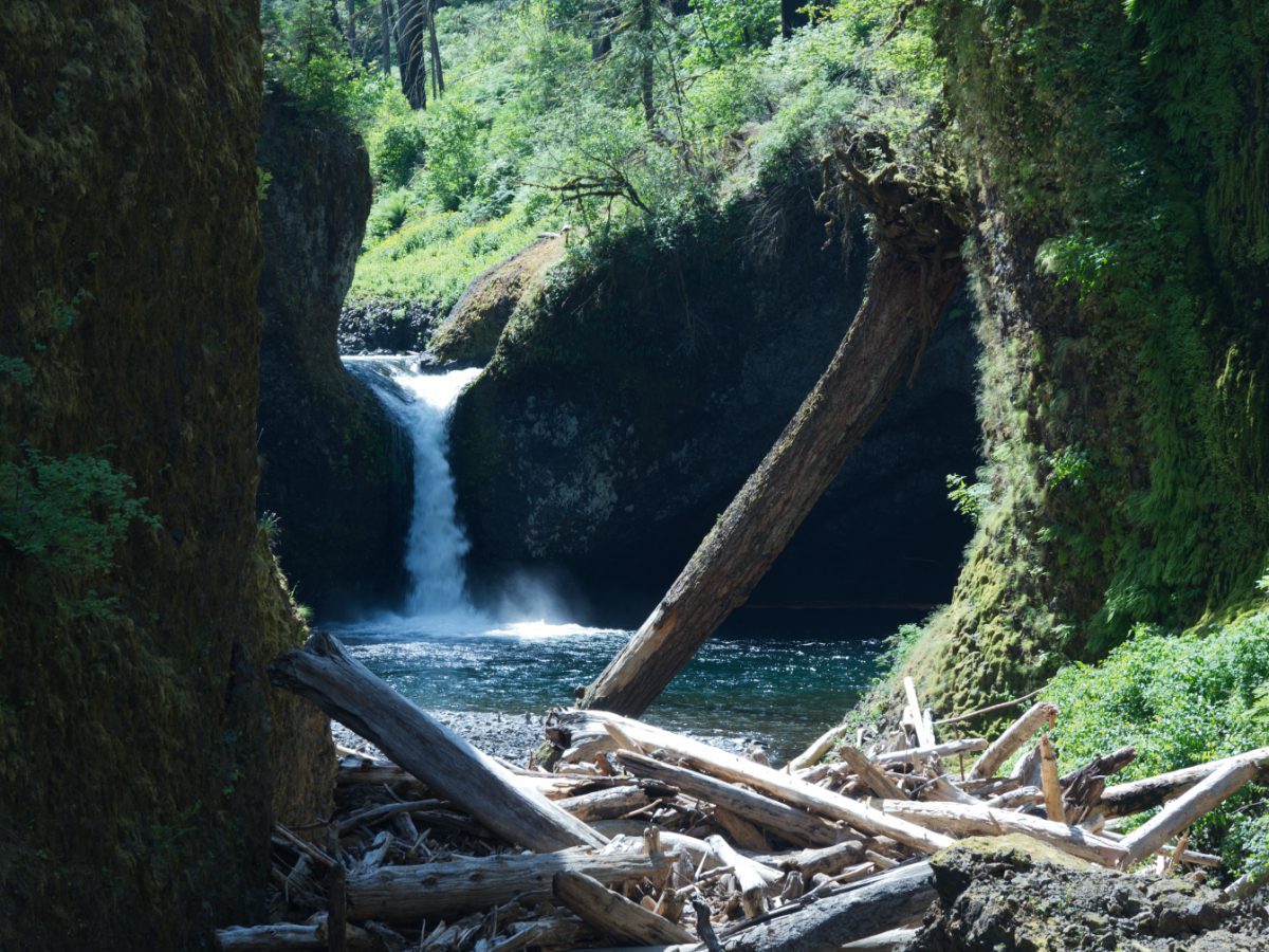 Punch Bowl Falls, view from lower trail by crossing Eagle Creek.