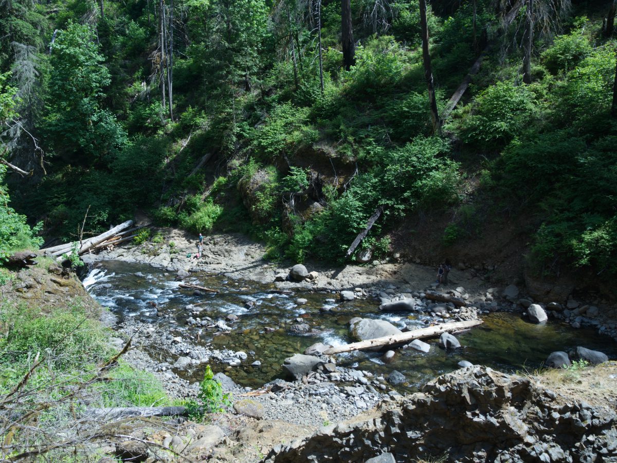 Looking down at the log crossing Eagle Creek in order to photograph Punch Bowl Falls