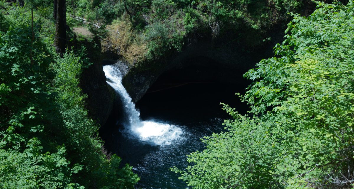Chasing the Best View of Punch Bowl Falls