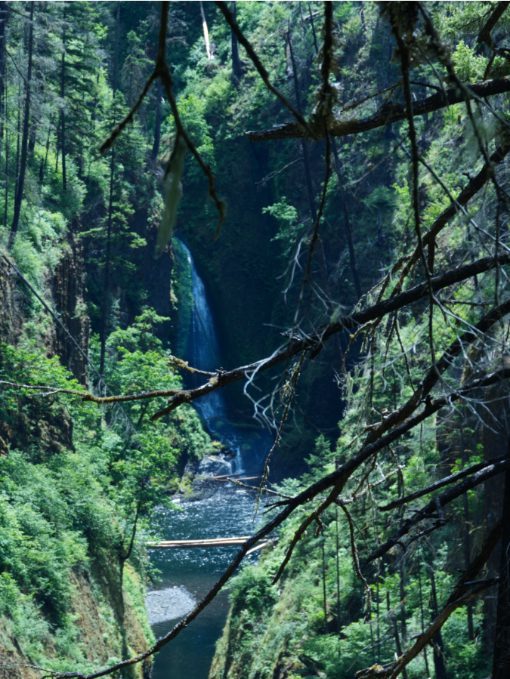 Unknown waterfall along the Eagle Creek Trail