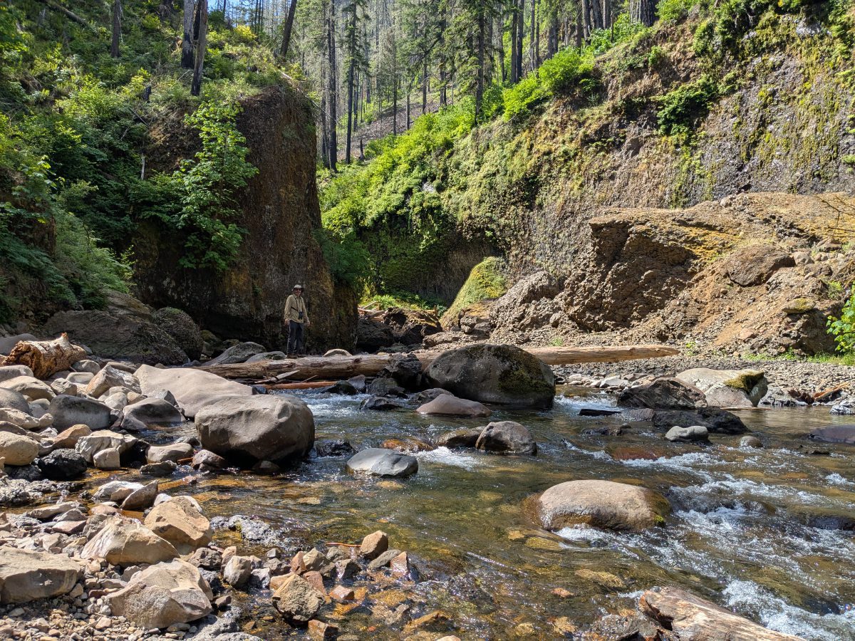 Eagle Creek at Punch Bowl Falls A man stands at one end of a log bridging two sides of Eagle Creek