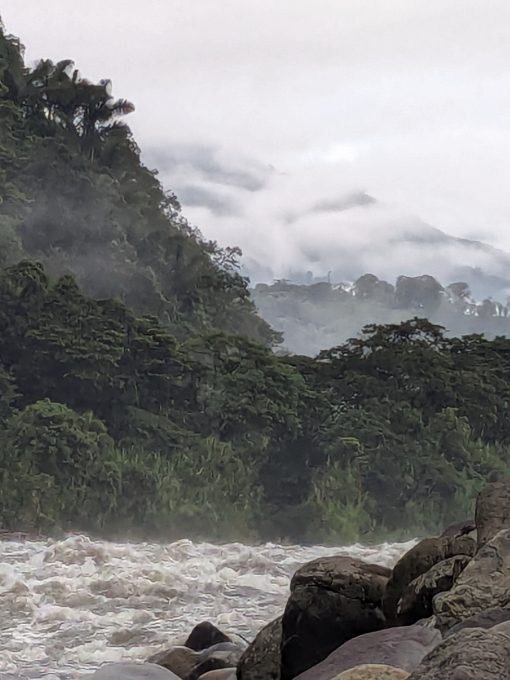 Rio Quijos on a misty morning | ©Angela Drake A frothing river lined by rocks with a view into the misty forests of the Andes.