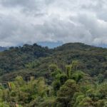 Wayra Reserve: Rewilding near the Guacamayos Ridge