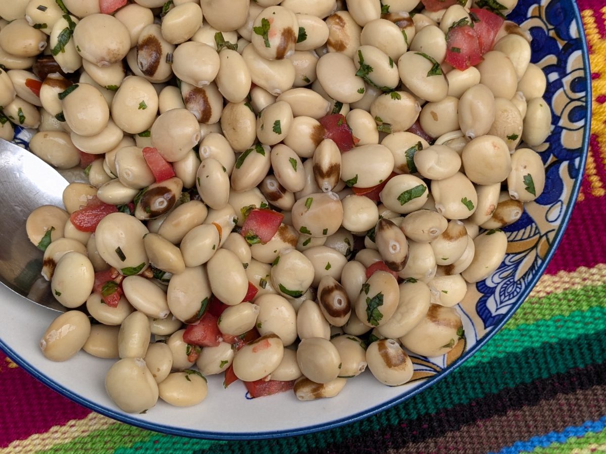 Plato de chochos o tarwi con aliño tradicional al estilo de la comunidad de Cuemal en Perú.