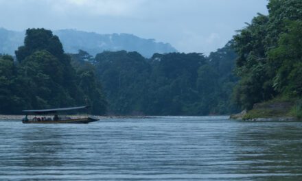 Ama EcoLodge Offers Easy Access to Ecuador’s Amazon