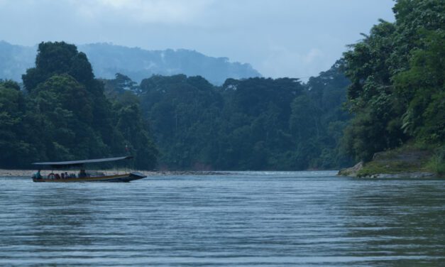 Ama EcoLodge Offers Easy Access to Ecuador’s Amazon