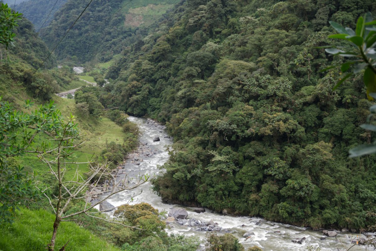 The Rio Quijos cuts runs between the highway and slopes of primary cloud forest.