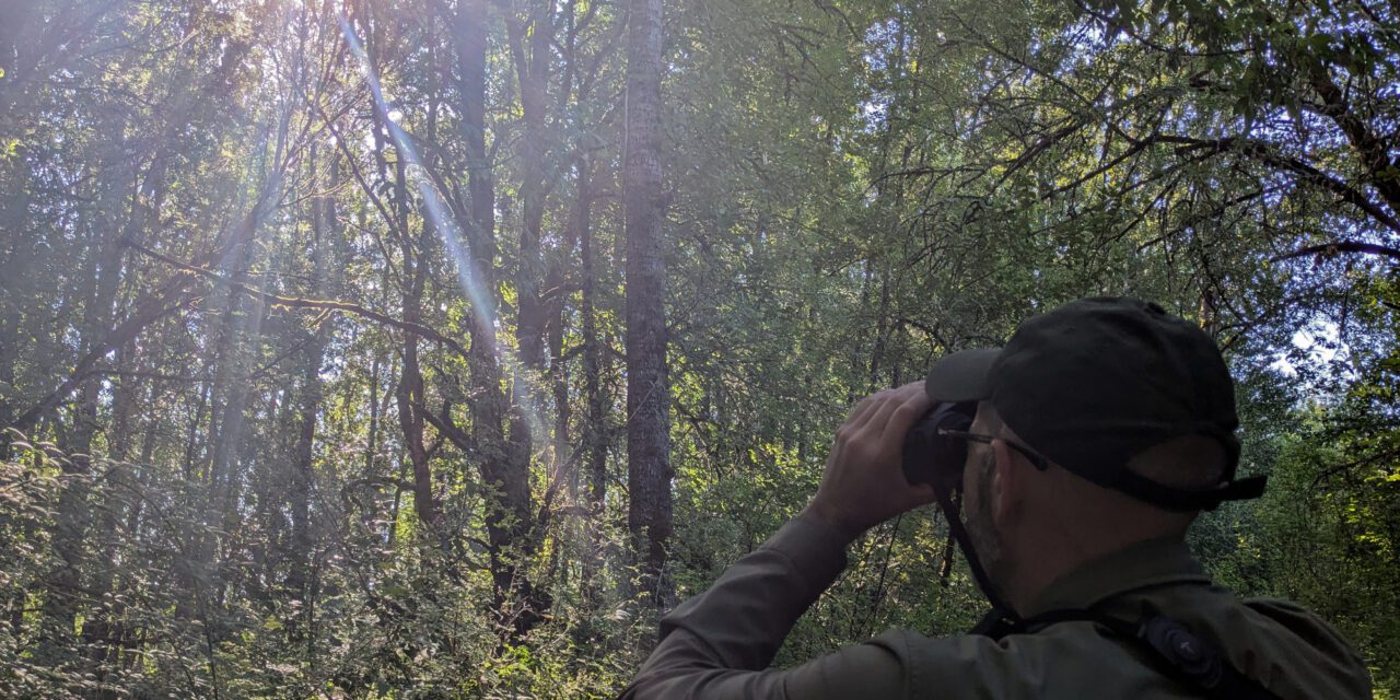Testing the Swarovski AX Visio: Smart Binoculars in the Wild