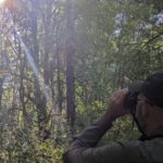 Testing the Swarovski AX Visio: Smart Binoculars in the Wild
