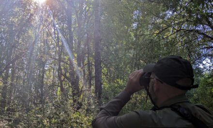 Testing the Swarovski AX Visio: Smart Binoculars in the Wild