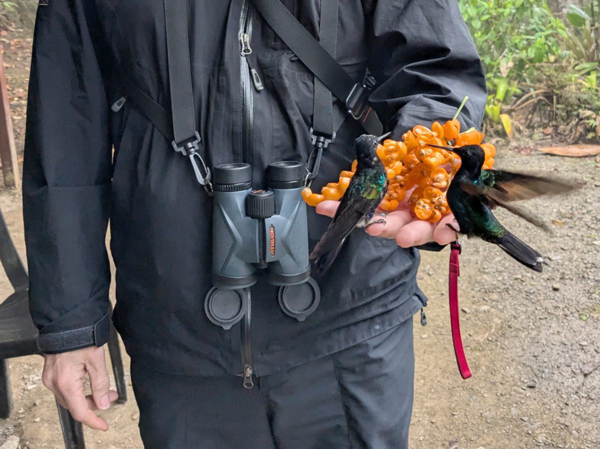 Scott wears a pair of Athlon binoculars on a shoulder harnass... even while admiring hummingbirds sipping nectar from a flower in his hands