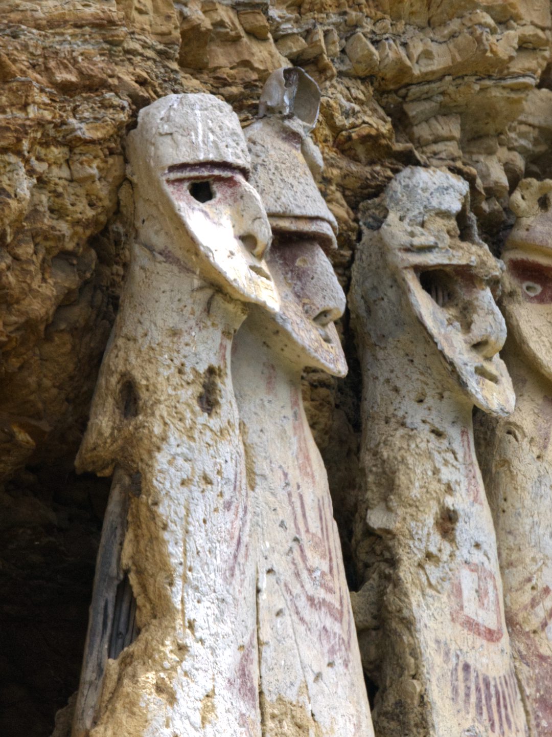 A close-up view of a three of the Karajia sarcophagi show reeds and deteriorating plaster.