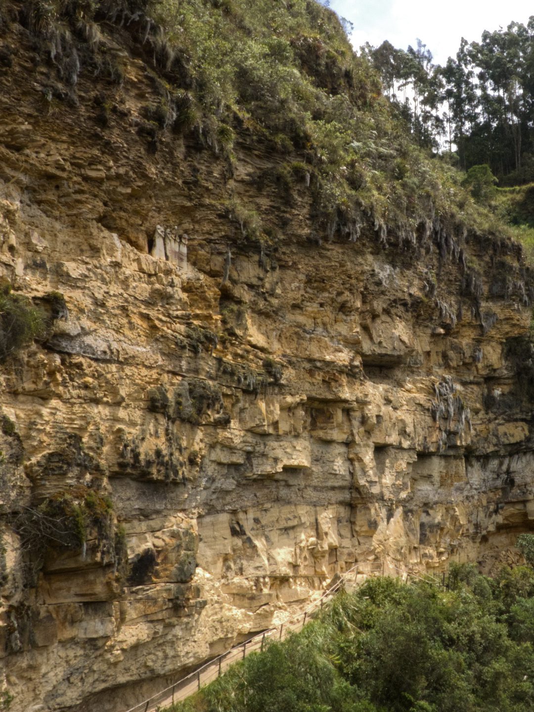 The Warriors of Karajia are well-camouflaged against the golden rock of the crumbling cliffside.