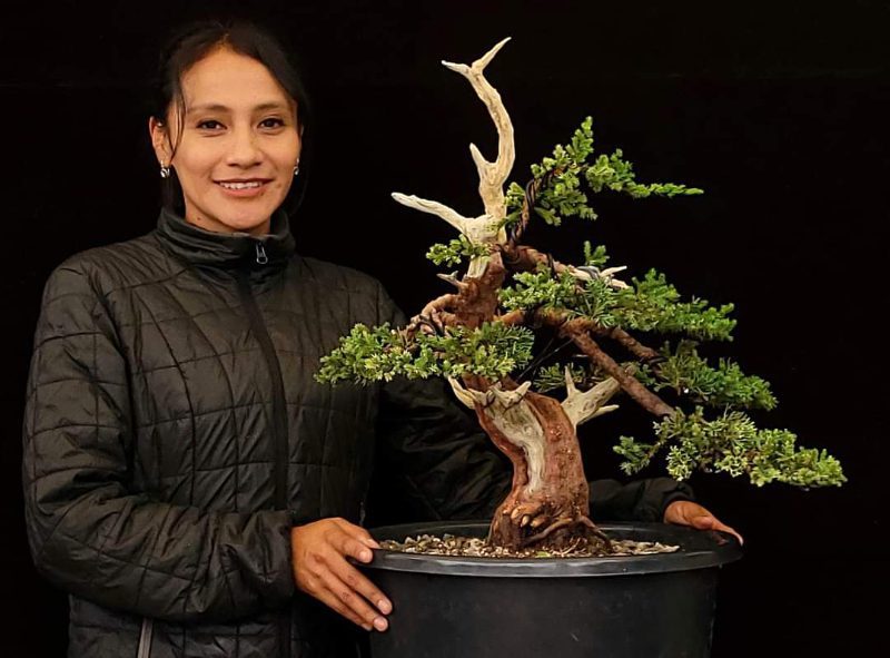 Mayra Andrango with a sample of her spectacular bonsai art