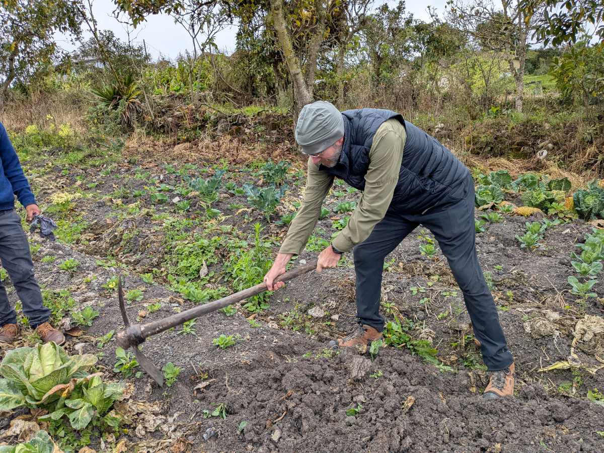 A tourist takes a turn with a heavy mattock, using it to turn the soil in a garden.